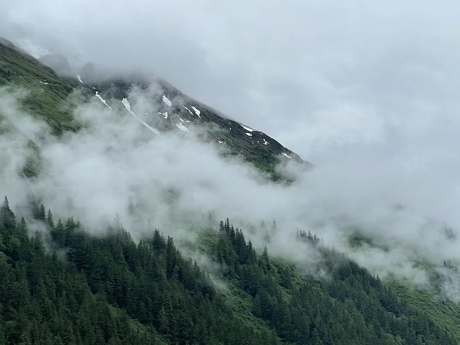 A misty, forested mountainside
